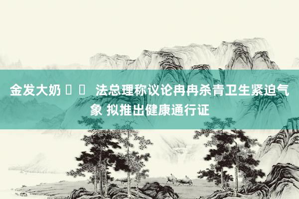 金发大奶 		 法总理称议论冉冉杀青卫生紧迫气象 拟推出健康通行证