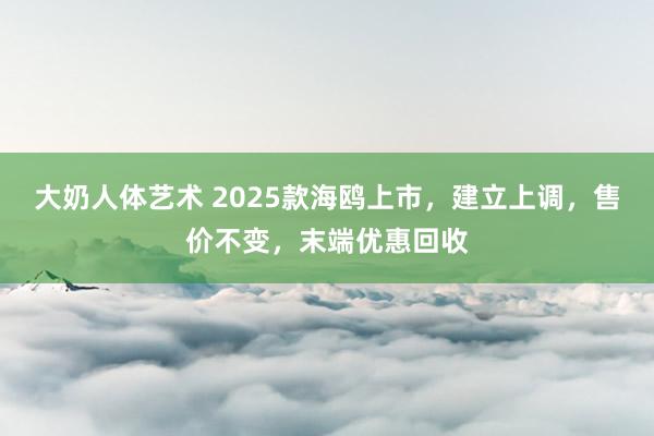 大奶人体艺术 2025款海鸥上市，建立上调，售价不变，末端优惠回收