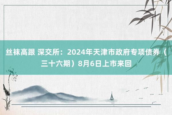 丝袜高跟 深交所：2024年天津市政府专项债券（三十六期）8月6日上市来回