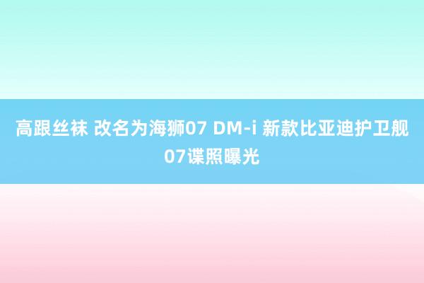 高跟丝袜 改名为海狮07 DM-i 新款比亚迪护卫舰07谍照曝光