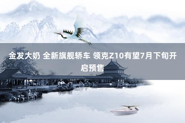 金发大奶 全新旗舰轿车 领克Z10有望7月下旬开启预售