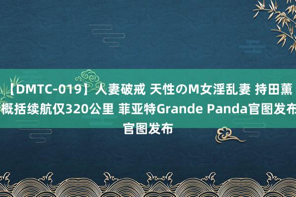 【DMTC-019】人妻破戒 天性のM女淫乱妻 持田薫 概括续航仅320公里 菲亚特Grande Panda官图发布