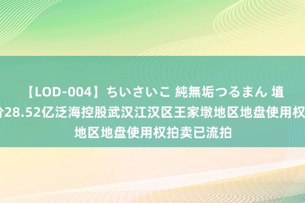 【LOD-004】ちいさいこ 純無垢つるまん 埴生みこ 起价28.52亿泛海控股武汉江汉区王家墩地区地盘使用权拍卖已流拍