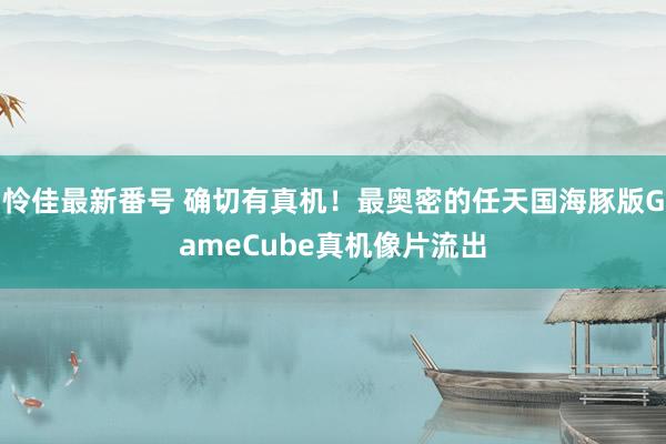 怜佳最新番号 确切有真机！最奥密的任天国海豚版GameCube真机像片流出