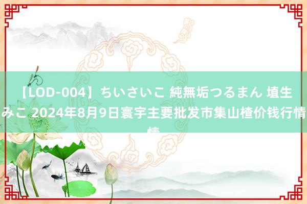 【LOD-004】ちいさいこ 純無垢つるまん 埴生みこ 2024年8月9日寰宇主要批发市集山楂价钱行情