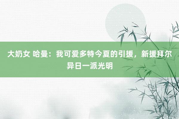 大奶女 哈曼：我可爱多特今夏的引援，新援拜尔异日一派光明