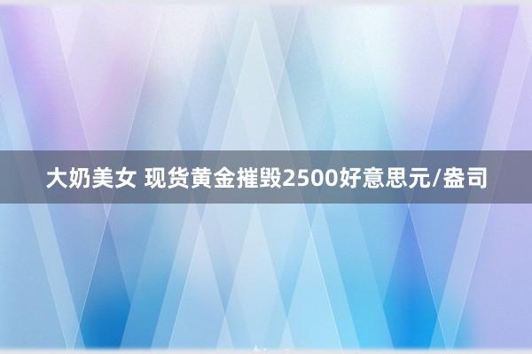 大奶美女 现货黄金摧毁2500好意思元/盎司