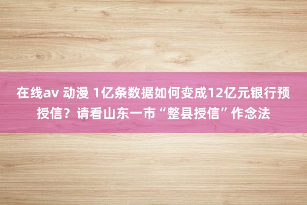 在线av 动漫 1亿条数据如何变成12亿元银行预授信？请看山东一市“整县授信”作念法