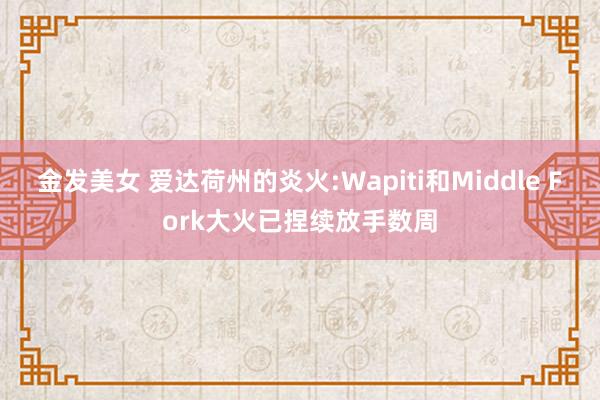 金发美女 爱达荷州的炎火:Wapiti和Middle Fork大火已捏续放手数周